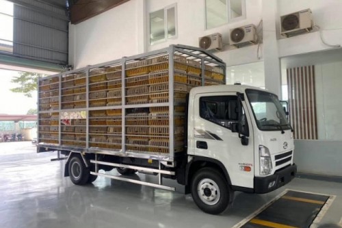 Xe Tải Chở Gia Cầm Hyundai Mighty EX8 GTL 6 Tấn
