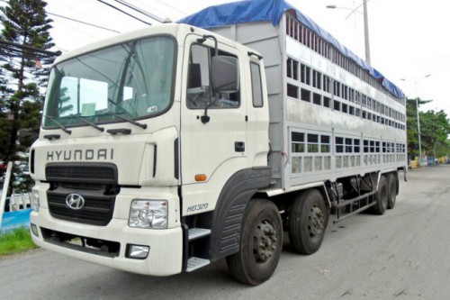 Xe Tải Hyundai HD320 4 Chân Chở Gia Súc 15 tấn
